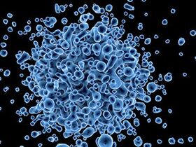 The main cause of papilloma appearance